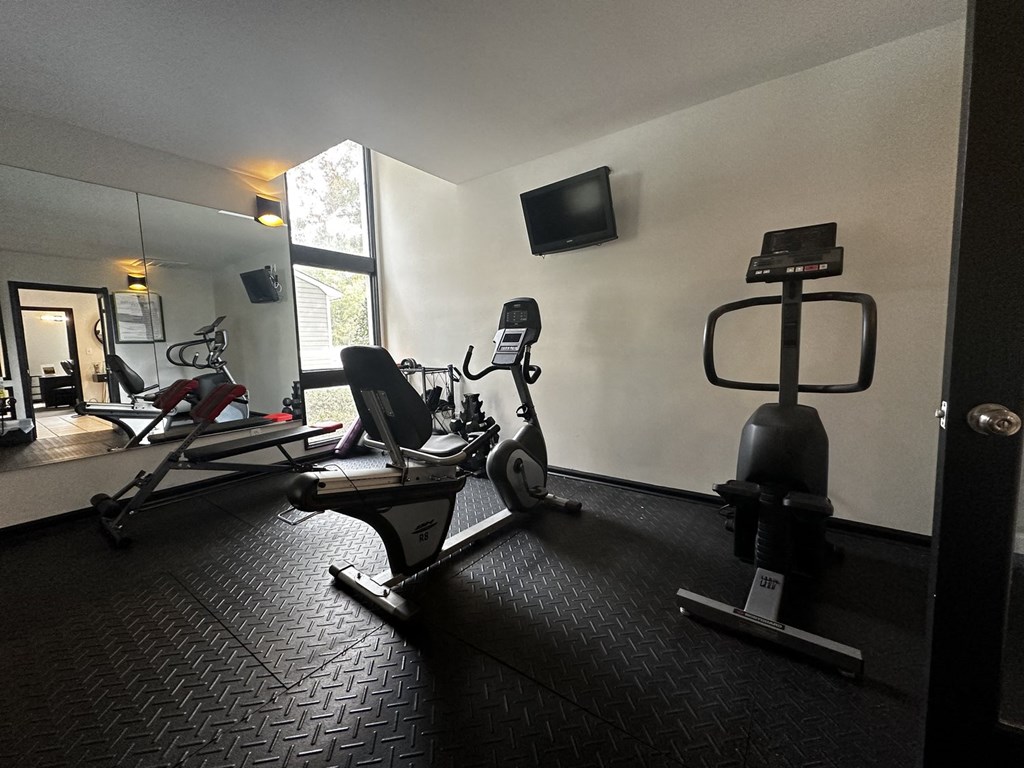 the gym has plenty of equipment and a television