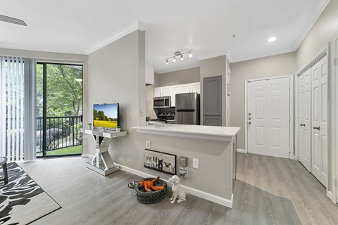 a spacious living room with a kitchen in the background