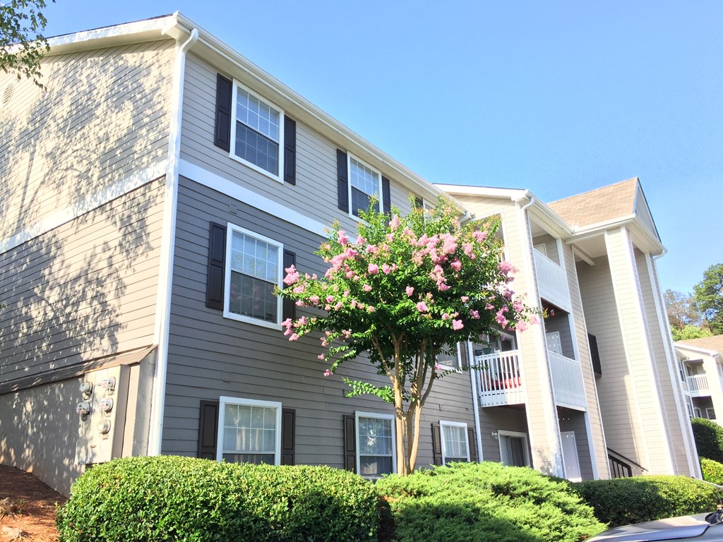 our apartments are equipped with a spacious living room and dining area