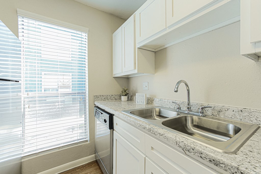 Kitchen Sink With Faucet   at Cashel Springs, Houston