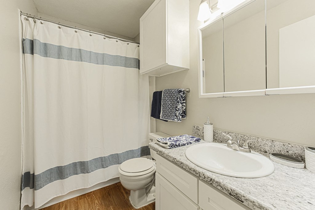 Bathroom With Storage at Cashel Springs, Houston, TX, 77069