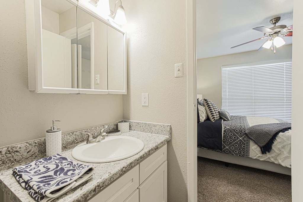 Upgraded Bathroom Fixtures at Cashel Springs, Houston, 77069