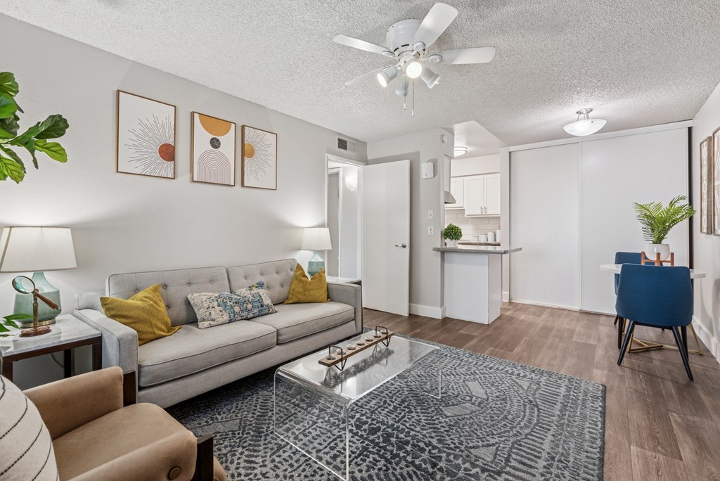 couch in living room.