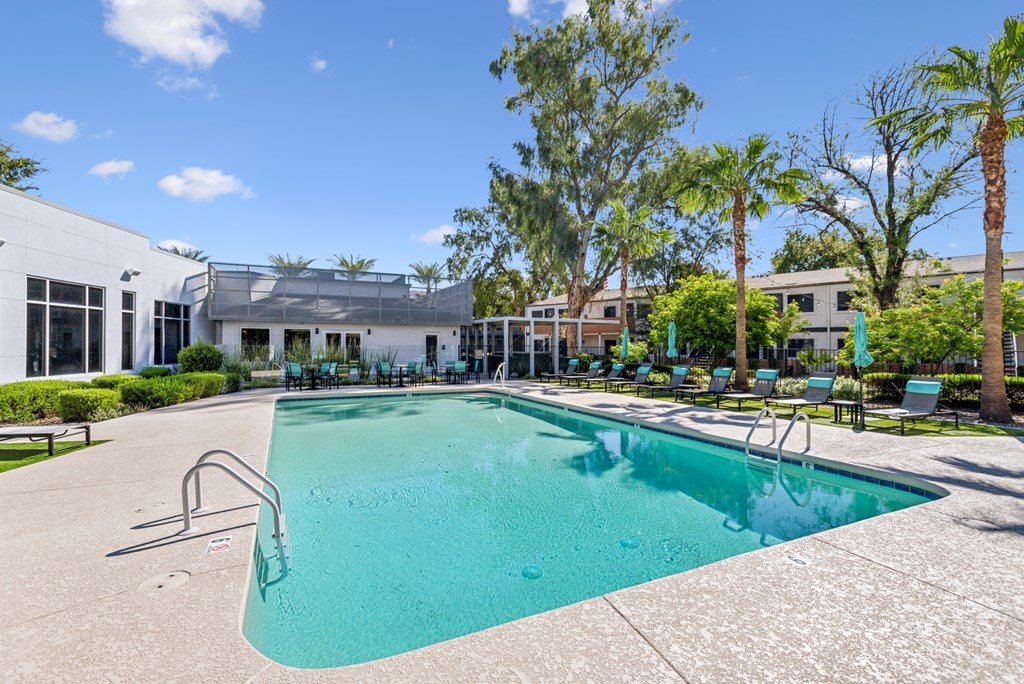 A swimming pool surrounded by palm trees and lounge chairs.