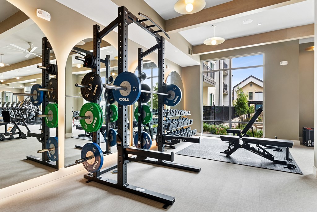 A gym with a weight rack and weights.