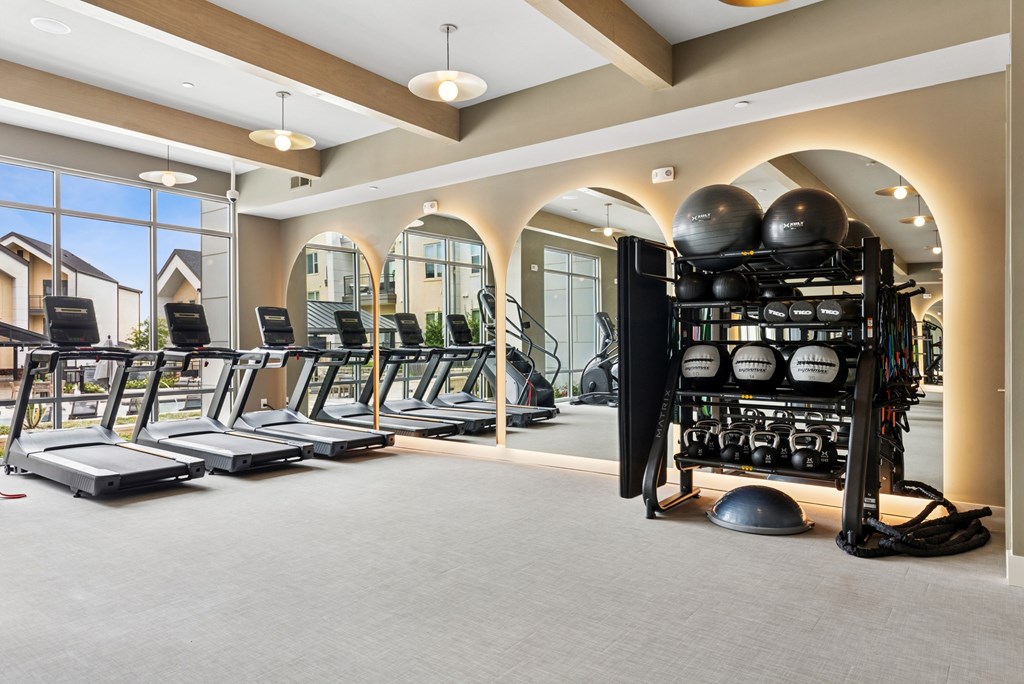 A gym with treadmills, weights, and exercise balls.