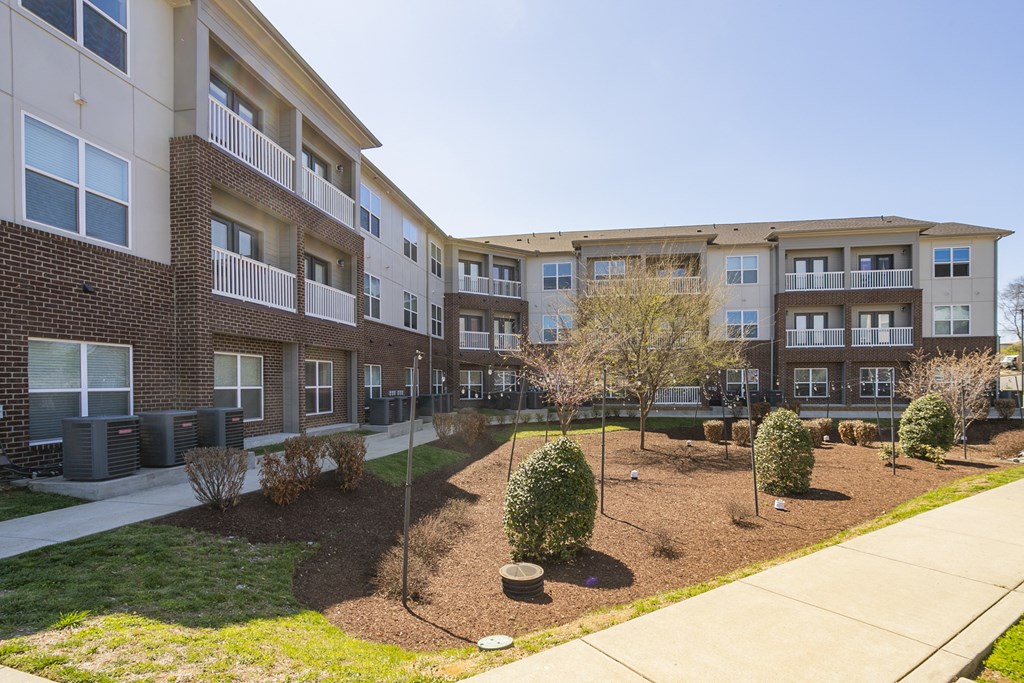 a courtyard with trees and shrubs
