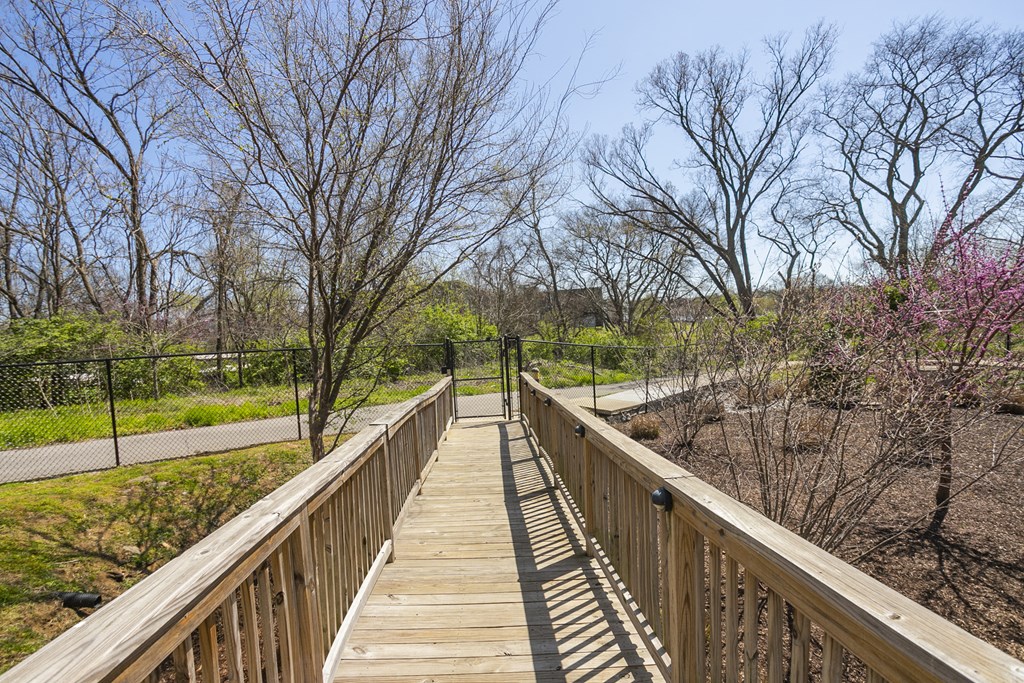 a wooden bridge with trees on both sides