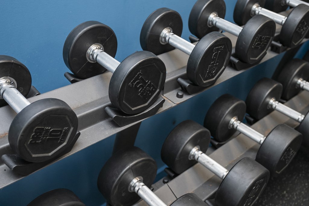 a row of dumbbells in a gym