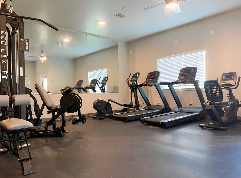 the gym at the monarch luxury apartments