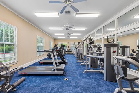 A spacious gym with a variety of equipment including treadmills, weight machines, and a fan.