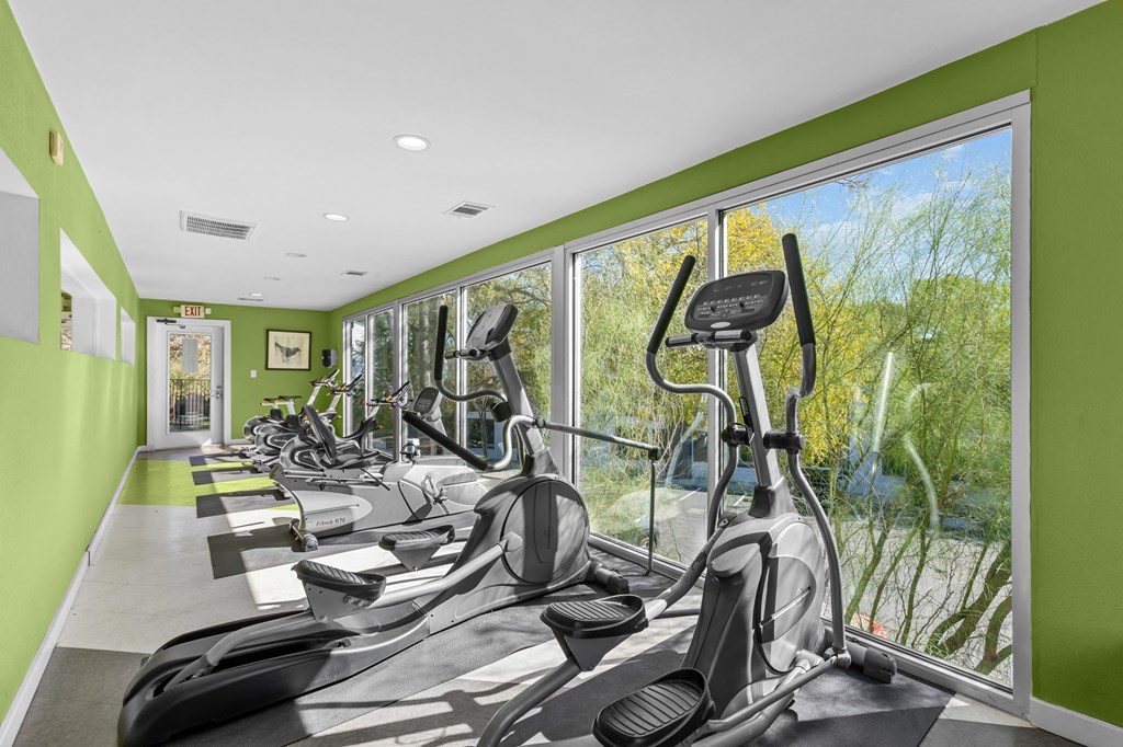 a gym with rows of exercise equipment and large windows