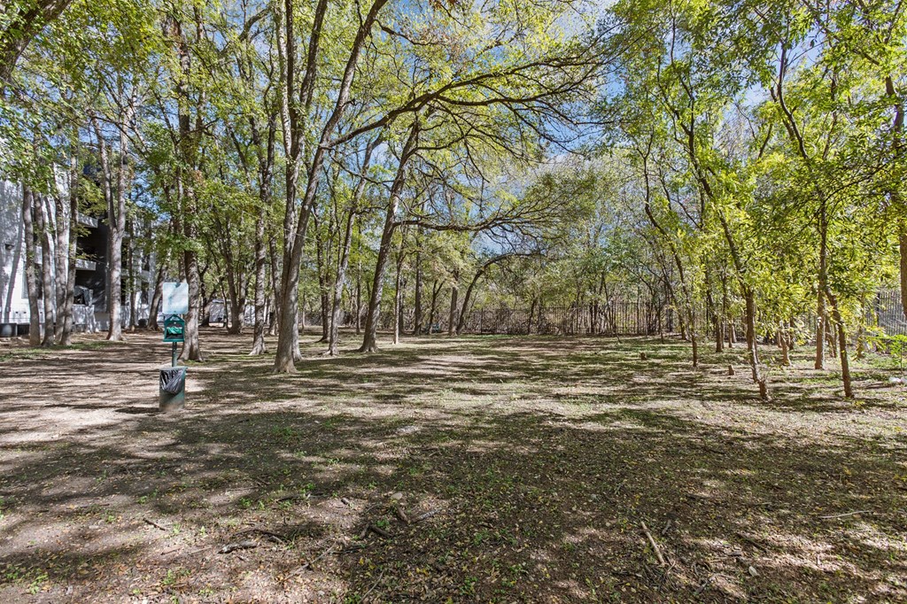 the parking lot is in the middle of a wooded area with trees
