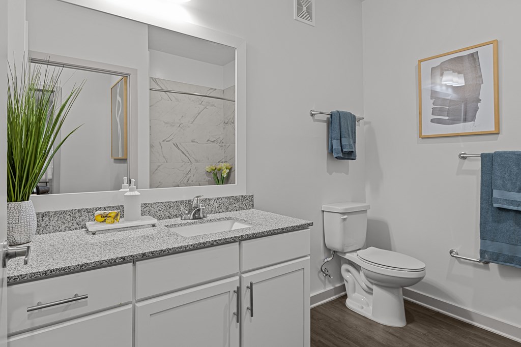 A bathroom with a toilet, sink, and mirror.