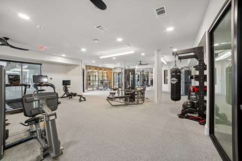 A spacious gym with a variety of equipment.