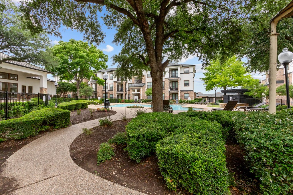 A tree in a landscaped area with a building in the background.