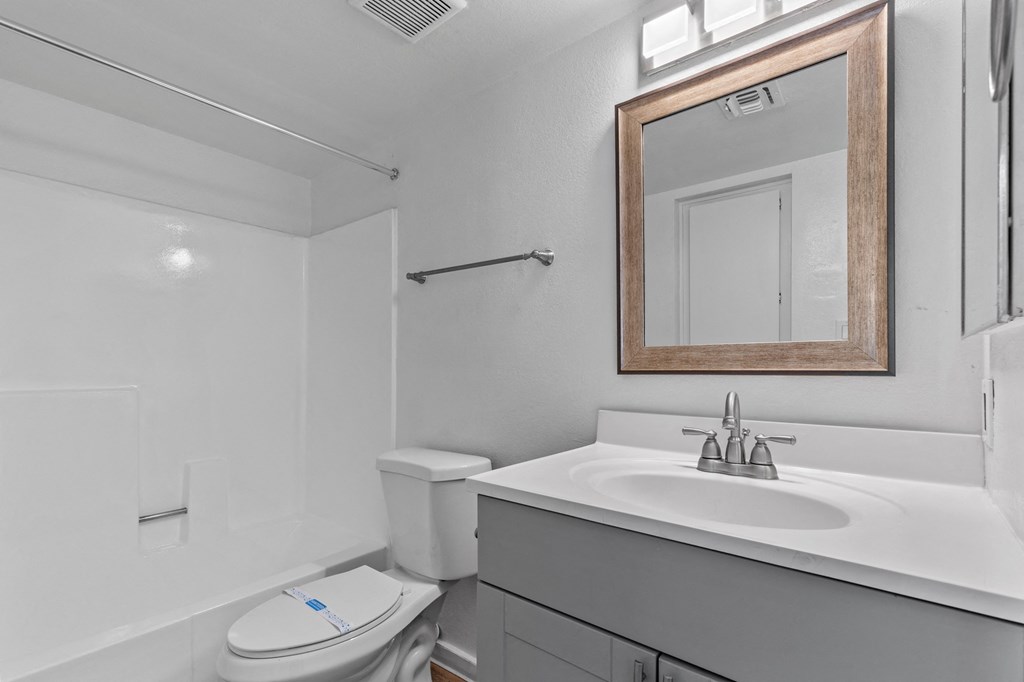 a bathroom with a sink and a mirror and a toilet