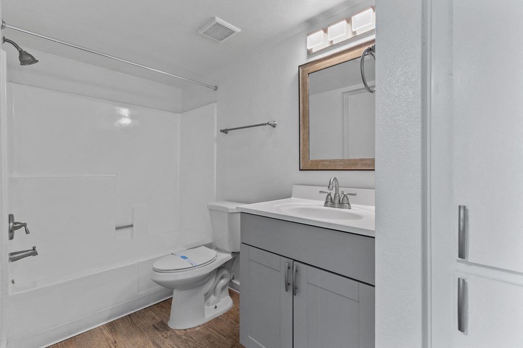 a bathroom with a sink toilet and a mirror