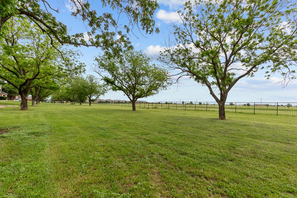 A grassy field with trees and a fence in the distance.