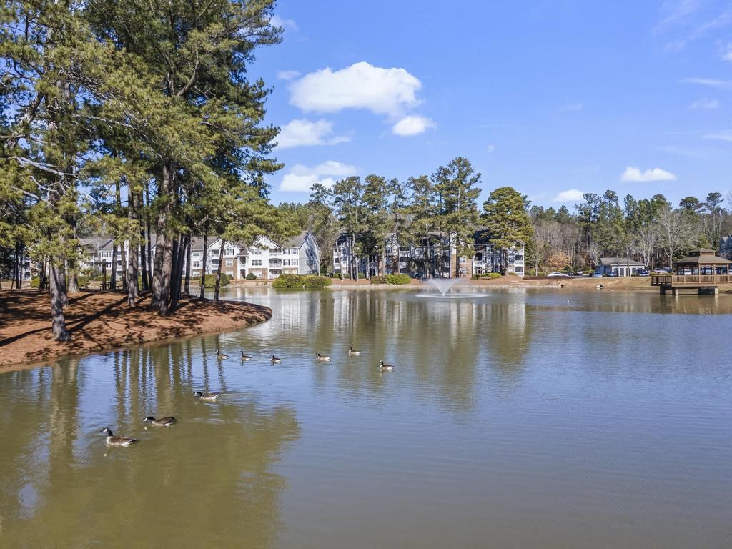a view of a lake with ducks swimming in it