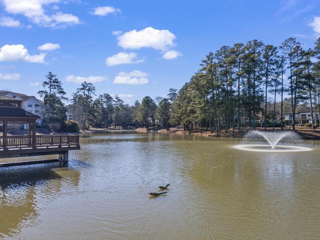 a fountain in the middle of a lake with ducks in the water