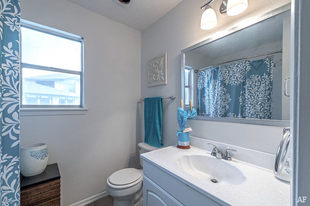 a bathroom with a toilet sink and mirror and a window