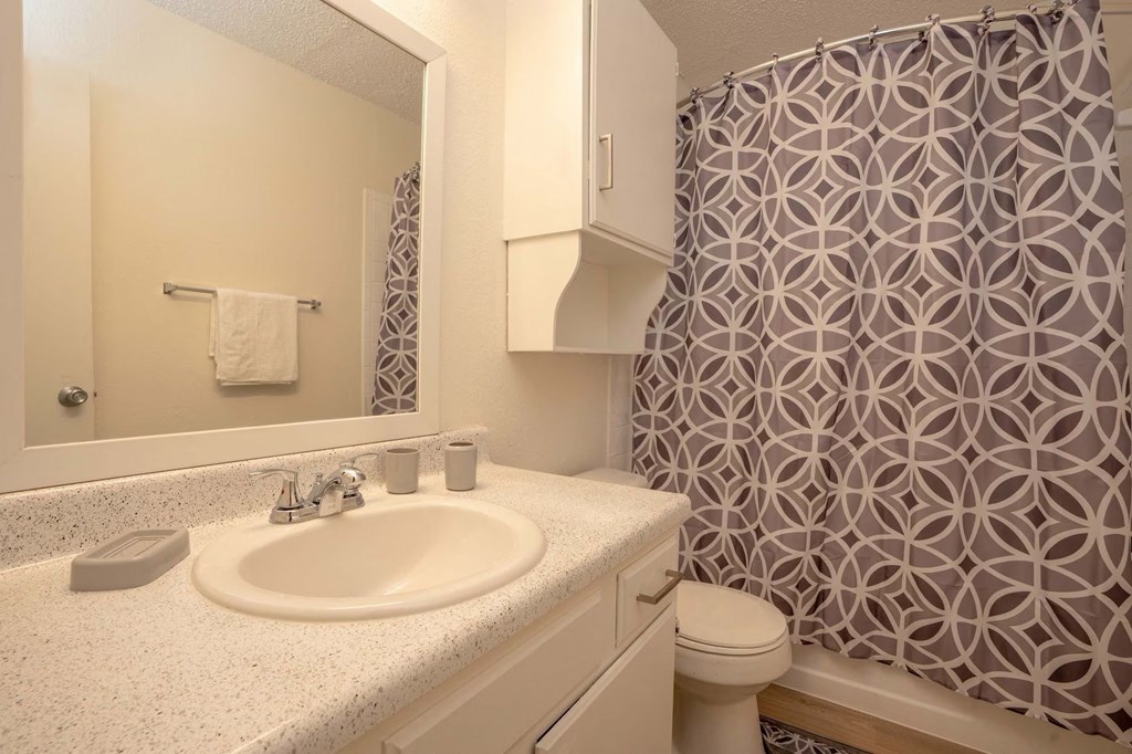 a bathroom with a sink and a toilet