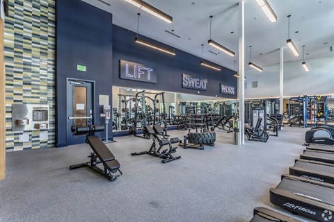 a gym with cardio equipment and weights in a building with blue walls