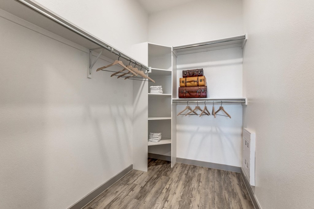a walk in closet with white walls and wood flooring and a mirrored closet door