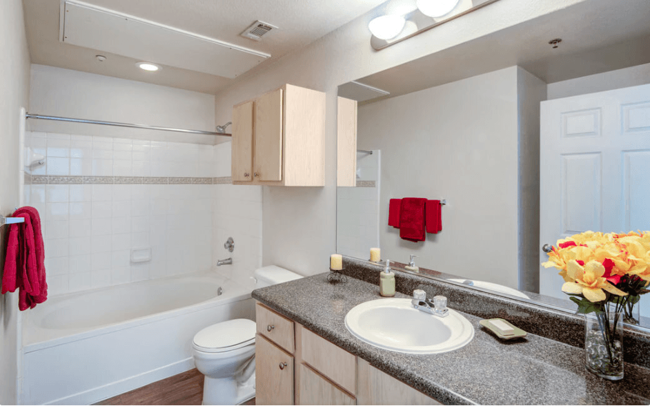 a bathroom with a sink and a toilet and a bath tub