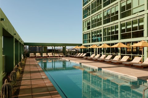 A long row of sun loungers are set up on the edge of a rectangular pool.