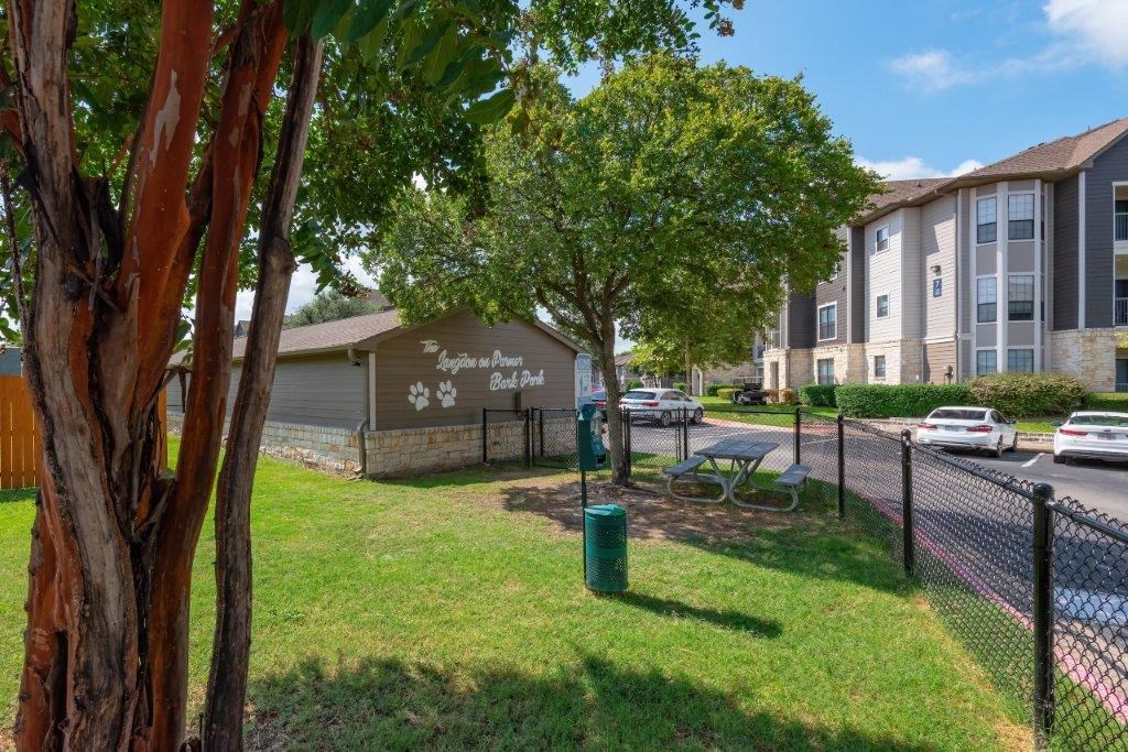 over view of the dog park