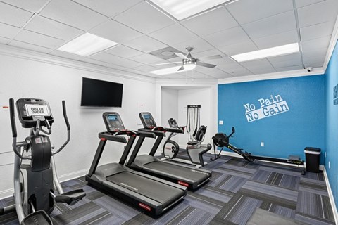 A gym with treadmills, elliptical machines, and a television.