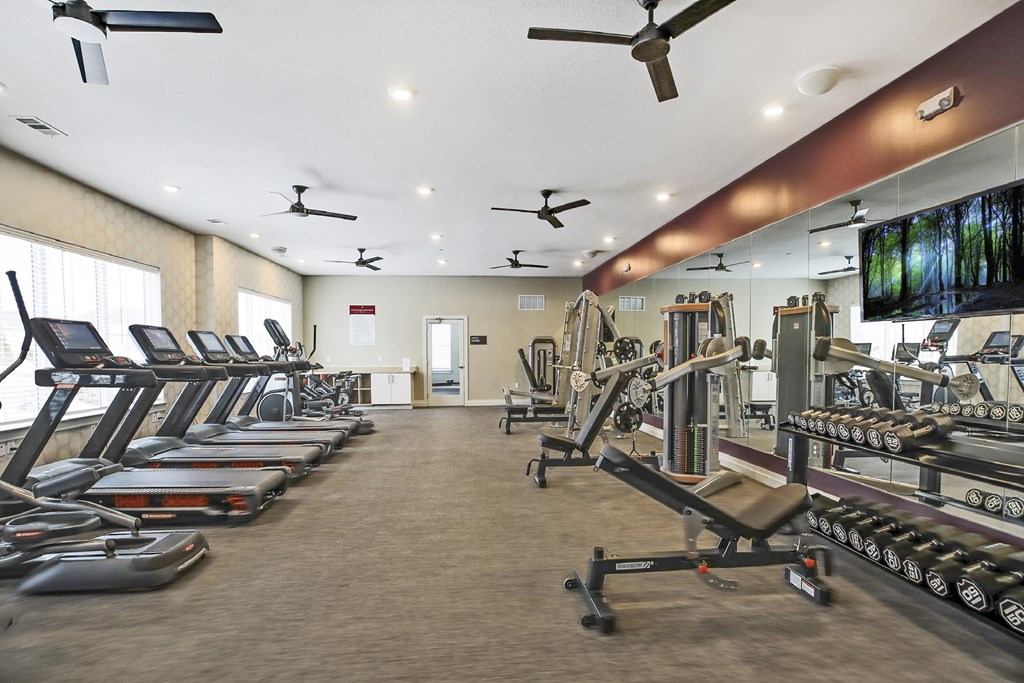 A gym with treadmills, weights, and exercise equipment.