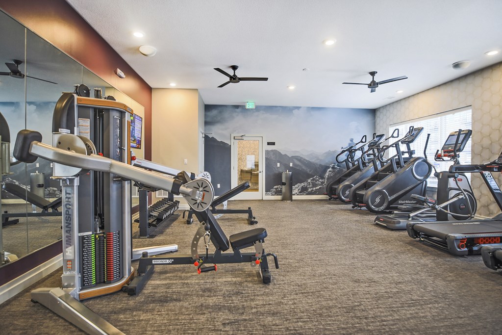 A gym with a variety of exercise equipment including treadmills, stationary bikes, and weight machines.