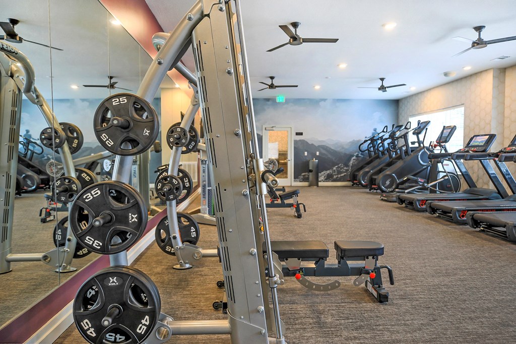 a gym with a variety of exercise equipment and a mural of a mountain
