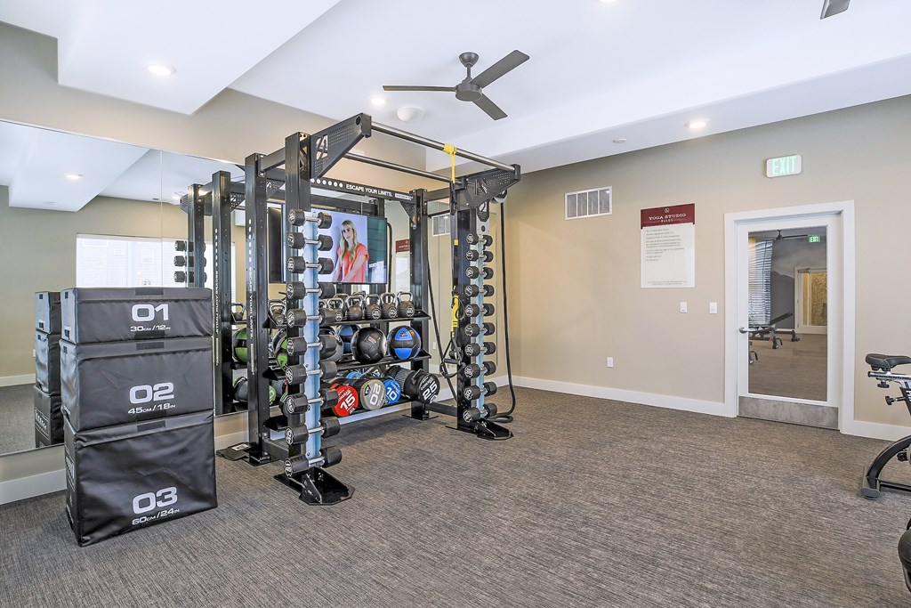 A gym room with a weight rack, a fan, and a row of exercise balls.