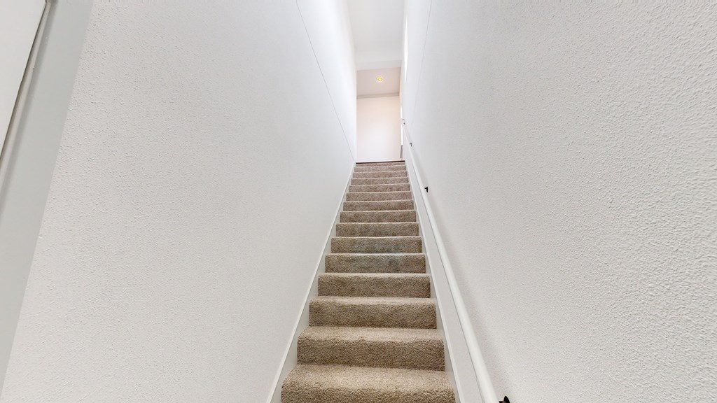 A staircase with beige carpeted steps and white walls.