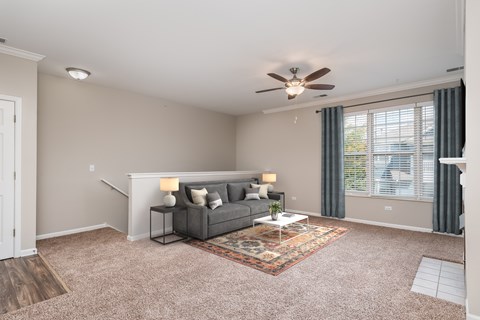 A living room with a grey couch and a rug.