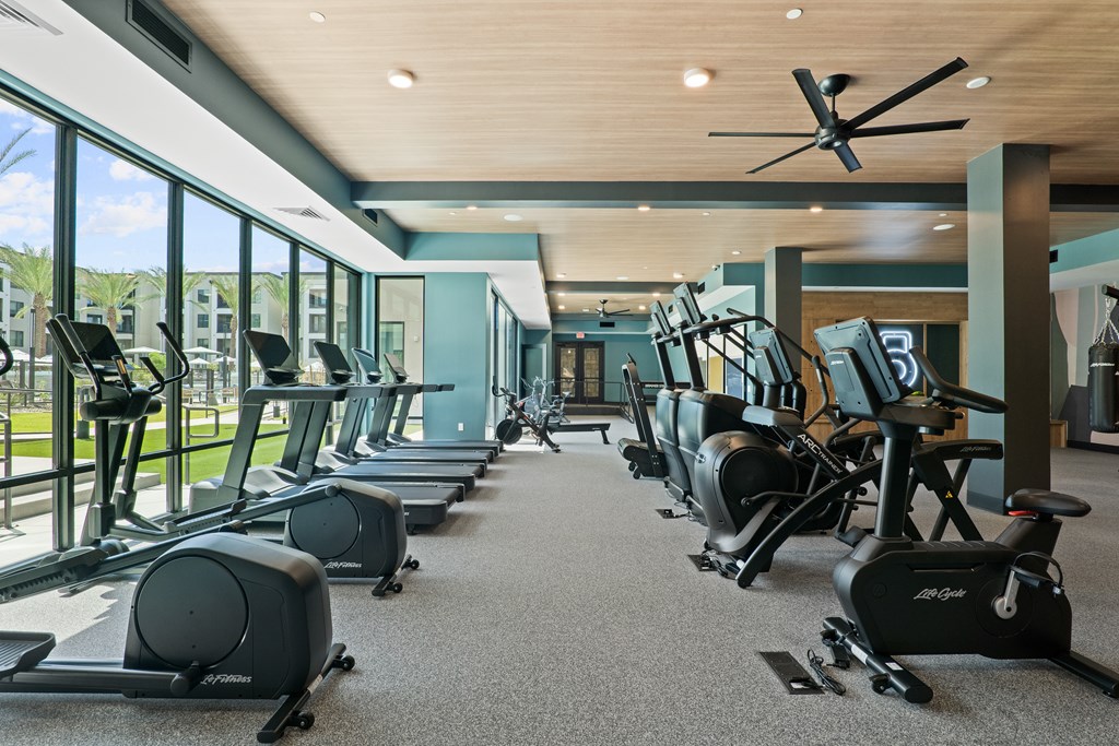 A gym with treadmills and elliptical machines.