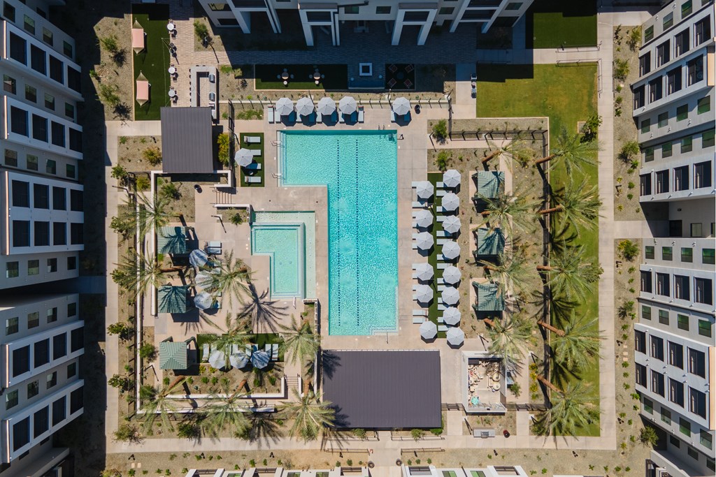 A swimming pool surrounded by palm trees and sun loungers.
