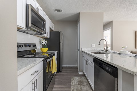 A kitchen with a black dishwasher and a black stove top oven.