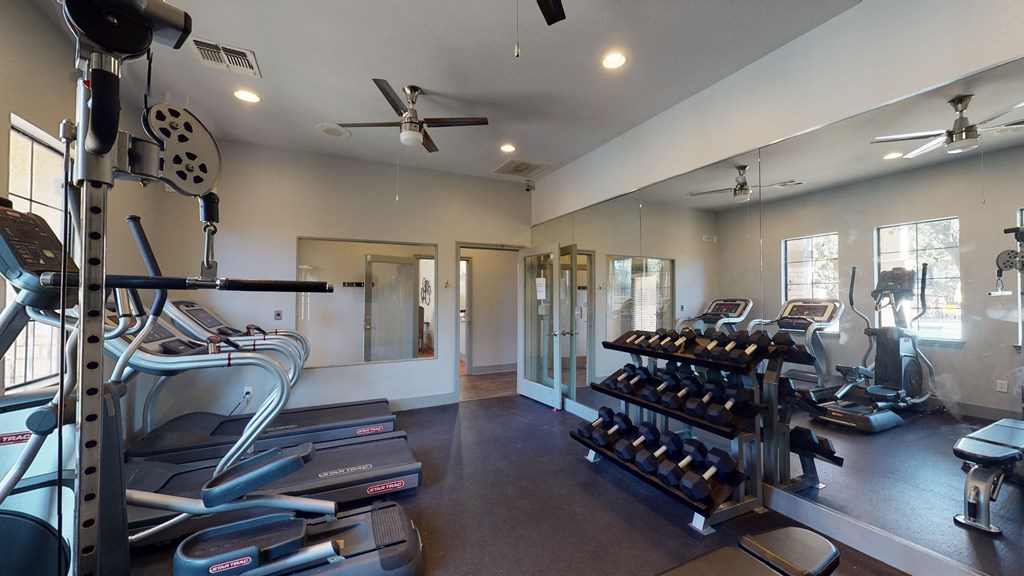 the gym has plenty of cardio equipment and weights