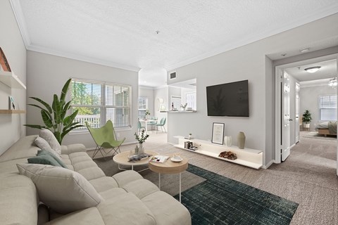 A living room with a grey couch and a green rug.