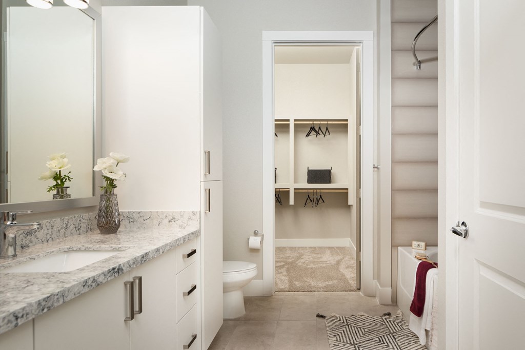 a bathroom with a sink and a toilet and a closet