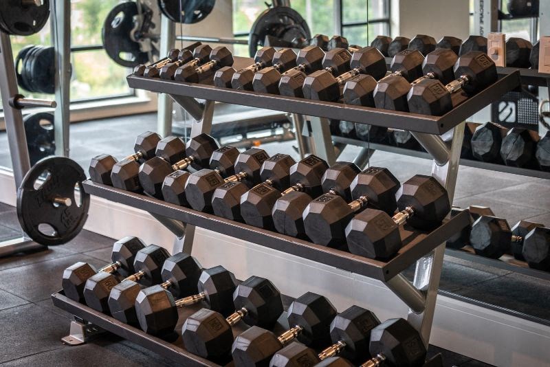 a rack of dumbbells in a gym