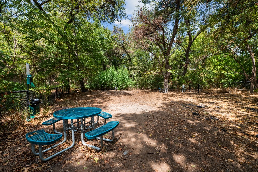 picnic table and benches in a park with trees