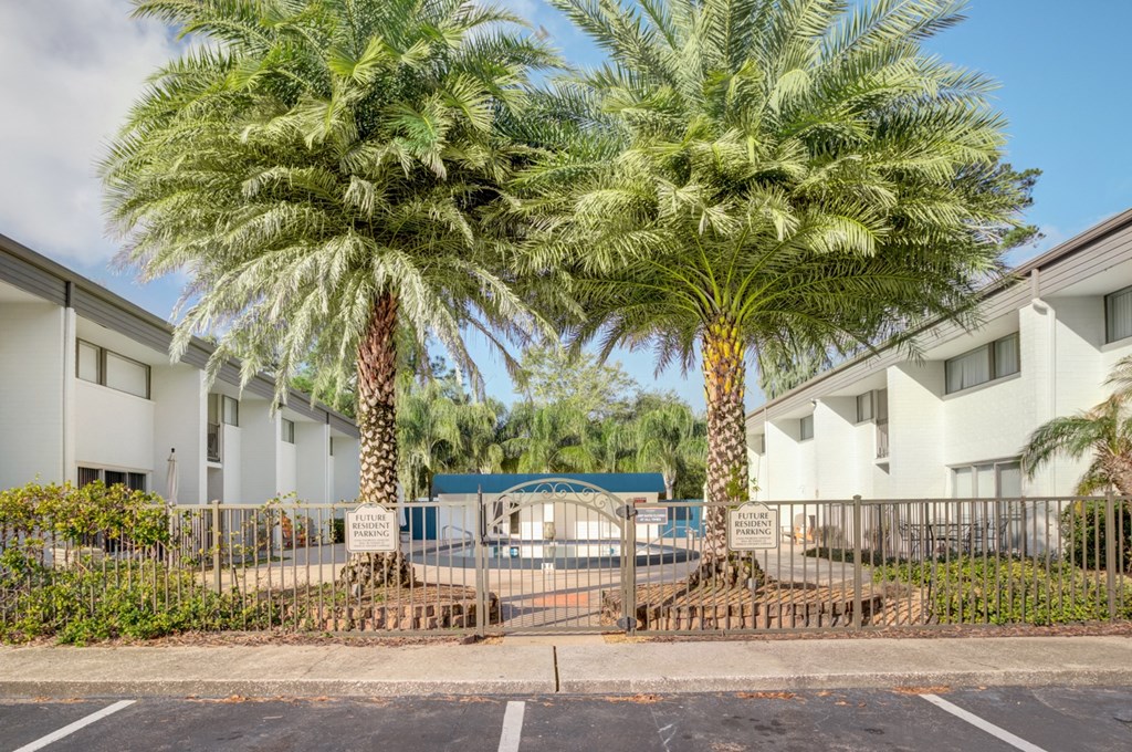 a building with palm trees and a pool in front of it