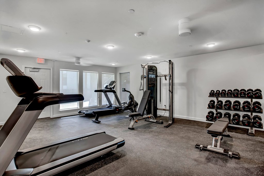 a home gym with treadmills and other exercise equipment