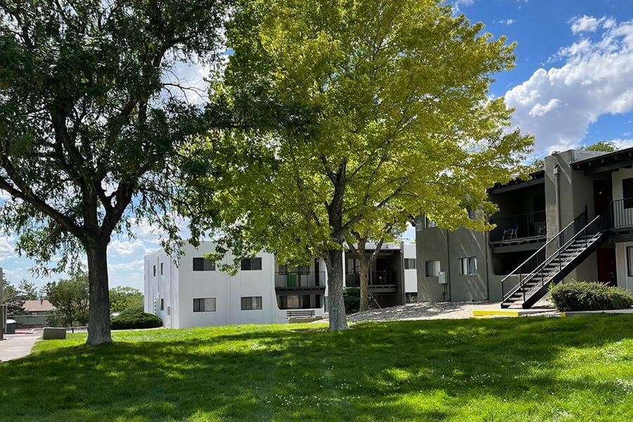 a building with a staircase and trees in front of it
